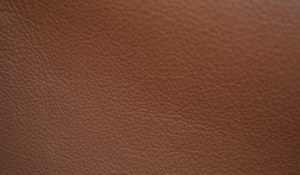 Ca-Mo Semi-aniline  slightly corrected leather